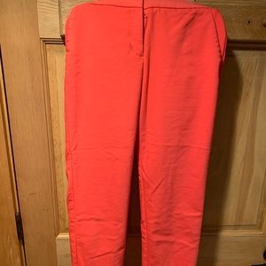 Women’s express columnist pant